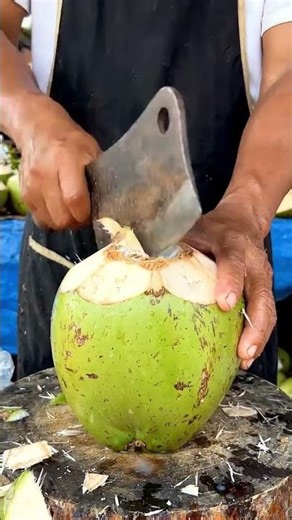 Watch This Coconut Fall from the Palm Tree
