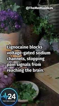 Lignocaine 5% Topical: How It Stops Pain Fast! 💉✨