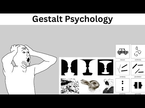 Psychology be like...