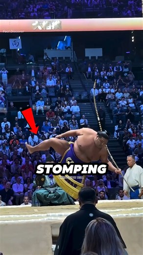 Why Do Sumo Wrestlers Stomp? 😱
