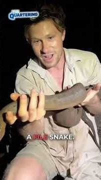 This Might Be The Strangest Snake On Earth #Snake #Wildlife #Nature #Viral