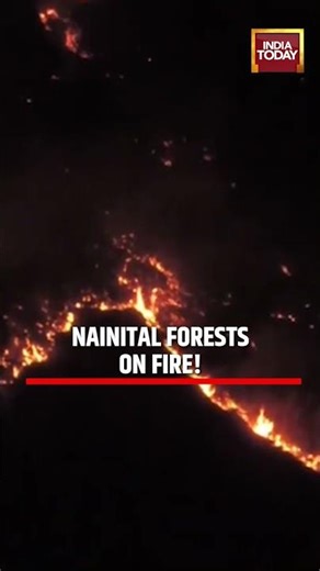 Nainital Forests on Fire as Blaze Spreads Rapidly #nainital #forest #breakingnews