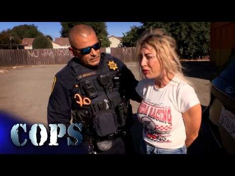 Hide Attack, Show 3724, Cops TV Show