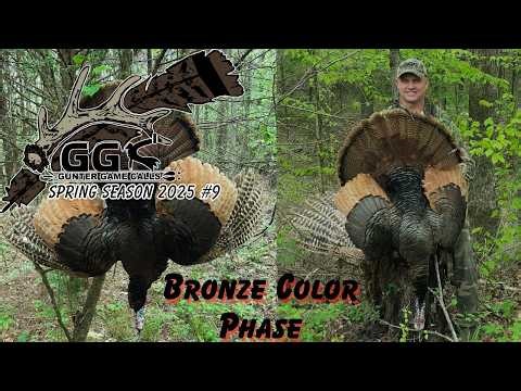 Spring Turkey Hunting 2025 #9 ( Rare Erythristic/Bronze/Red Phase Turkey Harvest)
