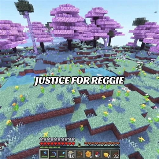 Justice for Reggie: The LDShadowLady Minecraft Story Explained