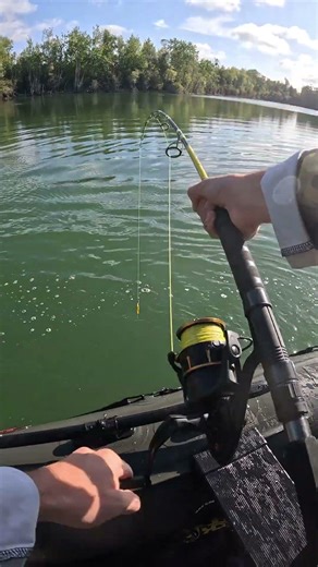 This GIANT CATFISH Took Line Non Stop😳💥 | INSANE Fight + TAIL SLAPS on the Surface 🔥 | Monster Ri