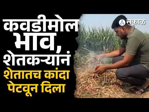 कांद्याला भाव मिळेना, शेतकऱ्याचा संताप | Solapur, Onion Farmer, Sakal News