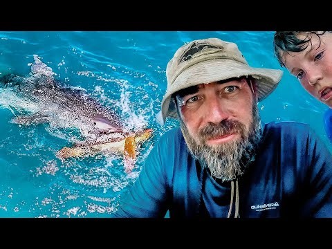 CAN this TURTLE SURVIVE this? - Ep. 133