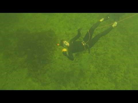 Underwater Scallop Hunting in Scotland | Catch and Cook