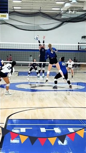 Legal Or Illegal Volleyball Plays That Confuse Everyone!