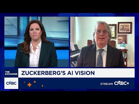 Meta is not well positioned in the AI race, says Elevation Partners' Roger McNamee