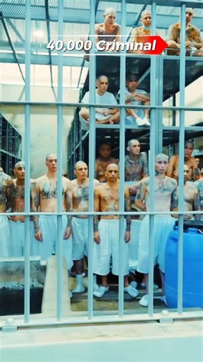 🔒⛓️ CECOT: El Salvador’s Mega Prison! #shorts #cecot #criminal