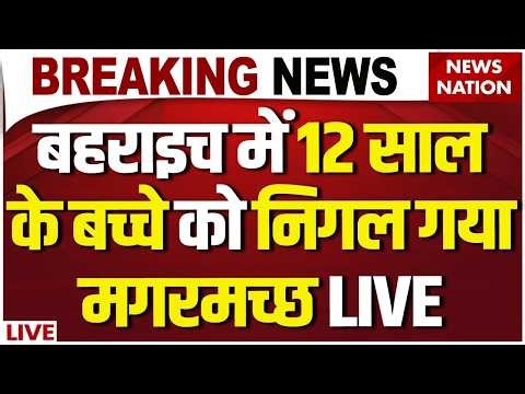 Crocodile Attack Viral Video Live: बहराइच में 12 साल के बच्चे को निगल गया मगरमच्छ | Bahraich News