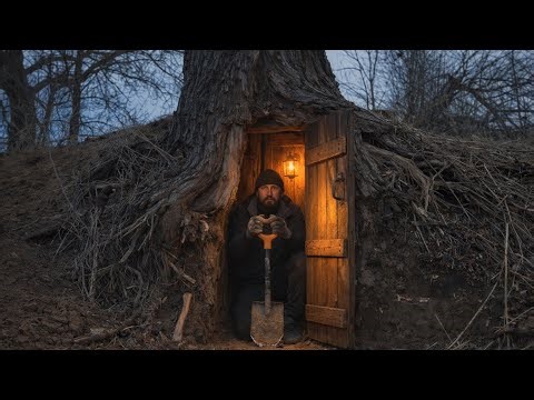 Building a secret shelter inside a large tree: extreme survival