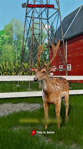 Scientists Accidentally Discovered How Deer "Remember" Injuries! 🤯🦌 #Science #Shorts