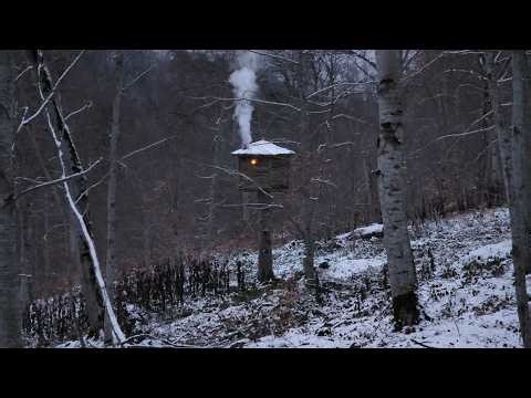 Extreme Cold Bushcraft: Rest at the Hut