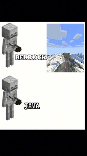 Minecraft Bedrock vs Java… This Gets Worse 💀
