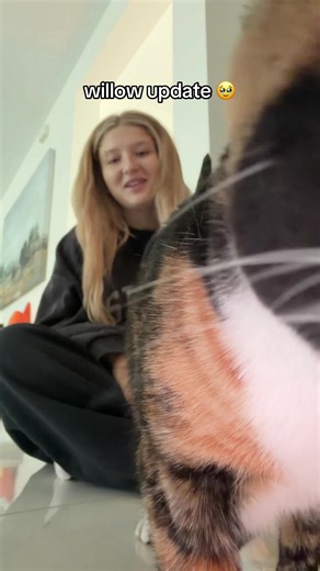 Willow update: emotional recovery and medication working
