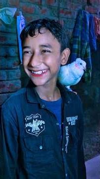 তুফানের বন্ধুত্ব🕊️♥️#tiktok #tending#shortstory #animal#pigeon#tufan sopner golpo Latest short video