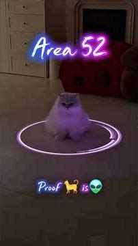 Area 52 proof cats are aliens #area52 #cat #foryou #funny #shortsfeed