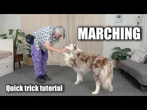 Marching - Fun Dog Trick Tutorial