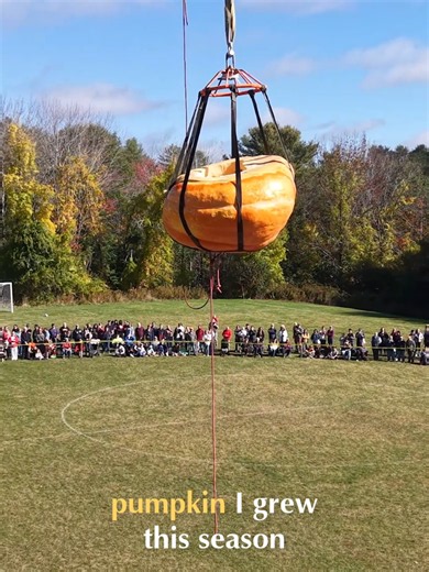 Giant Pumpkin Drop! See the Massive Fall Harvest 🚧