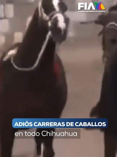 En Chihuahua fueron canceladas las carreras de caballos, peleas de gallos, jaripeos y otros eventos similares. La medida fue implementada por el Gobierno estatal ante las condiciones de seguridad que enfrenta la entidad. Las autoridades recordaron que en noviembre ocurrió un asesinato múltiple durante una carrera de caballos en Parral. A ello se suman recientes agresiones contra fuerzas federales y estatales. Los detalles #HechosMeridiano #AztecaNoticias #viraltiktok #Tendencia #News #Noticias #