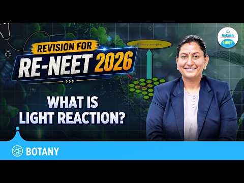 What is Light Reaction? ⚡ Complete Photosynthesis Revision for Re-NEET 2026