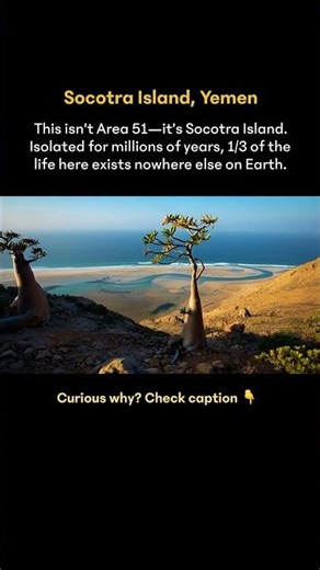 Most alien-looking place on Earth - Socotra Island #shorts
