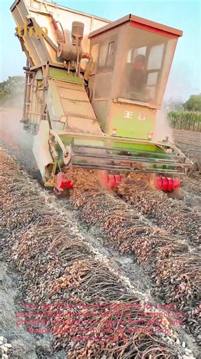 Self-propelled Peanut Picker, Harvest & Thresh Peanuts In One Pass