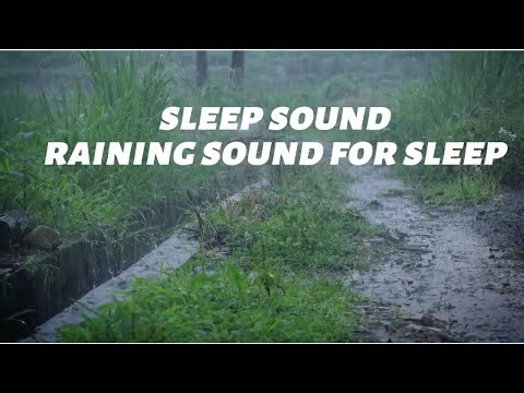 Soothing Rainy Day Over Rural Countryside - Relaxing Sounds for Better Sleep 🌧️