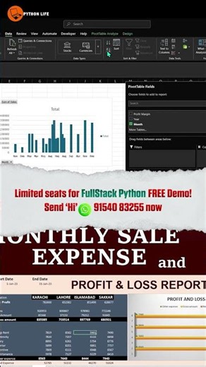 How to Check Monthly Sales Profit in Excel Easily | Super Store Dataset | PythonLife
