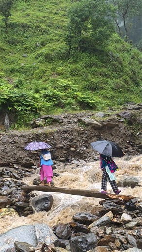 Rainy Day in Himalayan Nepal | Crossing a Traditional Wooden Bridge Over a Mountain River #rainyday