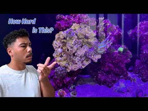 Are Reef Tanks REALLY That Hard?