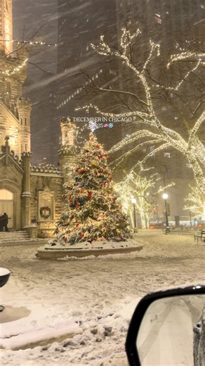 December in Chicago IL hits totally different love to walk in downtown specially in nights the best destination to spend the Christmas holidays. ❄️🎄 Downtown Chicago IL 📍 #chicago #chicagophotographer #chicagolife #chicagoarchitecture #chitown #chicagoblogger #chicagodowntown #chicagotravel #chicagogram #chicagoland #chicagoexplore #Christmas #snow #christmastree #christmastime | Travel With Me