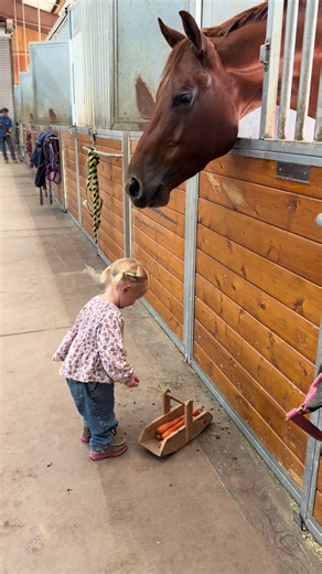 Dolce took revenge 🥕 #HorseKids #HorseLife #blessed #farmlife #newstart