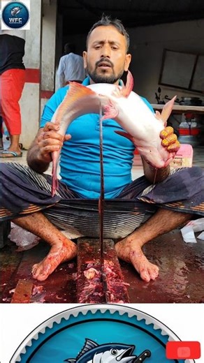 "Pangas Fish Butchering in Rural Style – Clean and Professional!" #asmr #fillet #fishspecies #howto