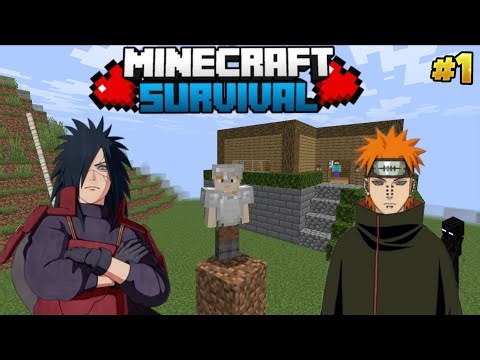 Perfect, start in Minecraft (Episode 1)