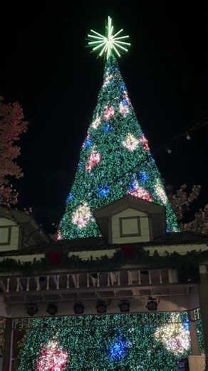 Happy New Years! | Beautiful Singing Christmas Tree | Lights Dance With The Music | Branson MO