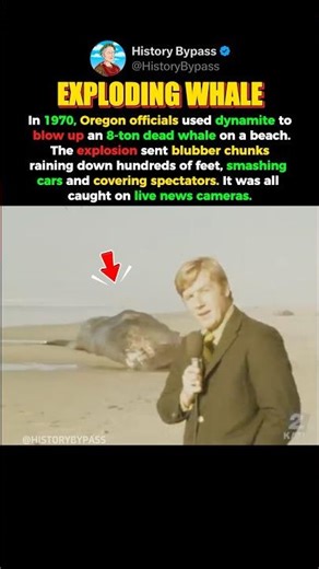 THEY BLEW UP A WHALE #shorts