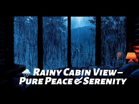 Best Rain in the Forest at Night 🌲| Sleep Deeply with Rain Sounds - Raining Cozy🌧️