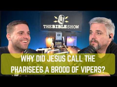 Ep. 22 Matthew 12 Pt. 2 - Why Did Jesus Call the Pharisees a Brood of Vipers?