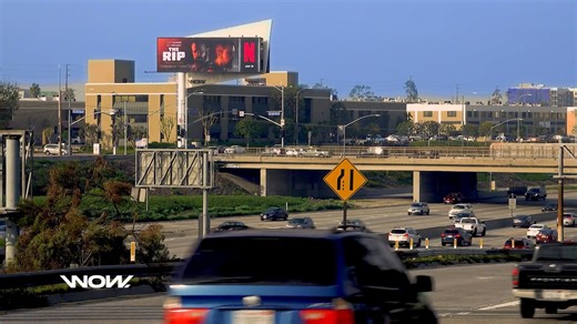 NETFLIX - THE RIP - POP