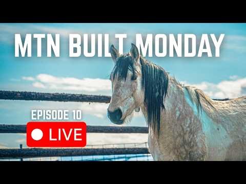 One Thing We've Changed Our Minds On With Horses & Mules | MTN BUILT Monday (LIVE!)