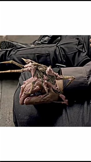 movie_night_07 on Instagram: "Movie: Men in Black 3 🕶️👾 Genre: Sci-Fi / Action / Comedy Movie Length: 1h 46m IMDb Rating: 6.8/10 Explanation: Get ready for a mind-bending trip through time! When an old alien enemy, Boris the Animal, escapes a high-security lunar prison and travels back to 1969 to assassinate a young Agent K, Agent J (Will Smith) must follow him to save his partner and the future of the world. Expect wild gadgets, retro vibes, and the iconic "Boglodite" creature you see in the