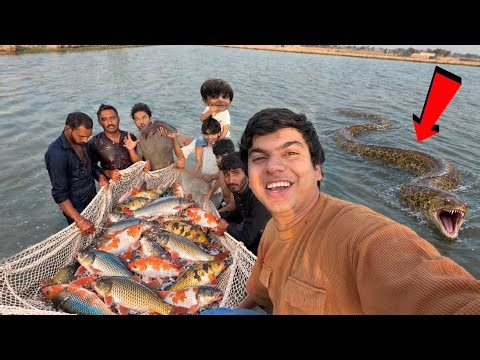 Bht Sari Fishes Trap Kr Li 🐠