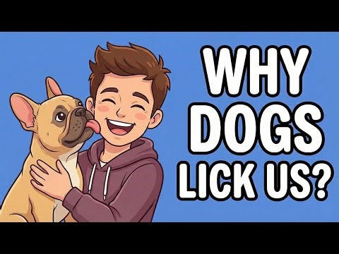 The Real Reason Your DOG Licks You | The Science Behind the Slobber. 🐶