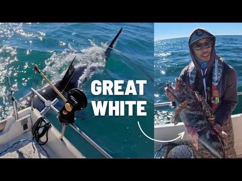 GREAT WHITE Attacked My Lingcod Fishing On Small Boat (I Caught It On Camera)!