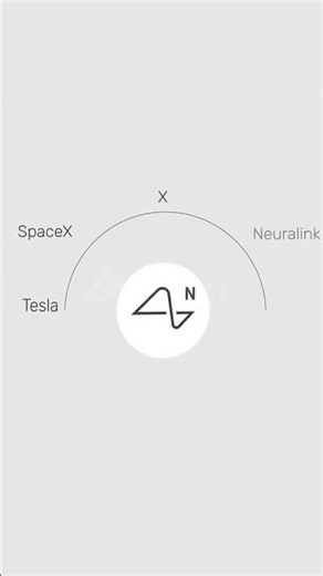 Elon Musk An Explainer with Company & Stats Infographics