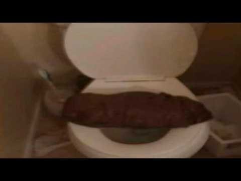 Offensive memes that ylyl
